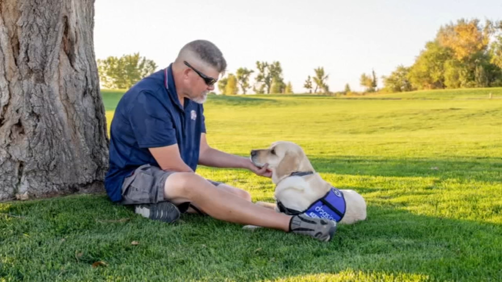 'He saved my life': US Veteran's service dog wakes owner up before he had a serious stroke