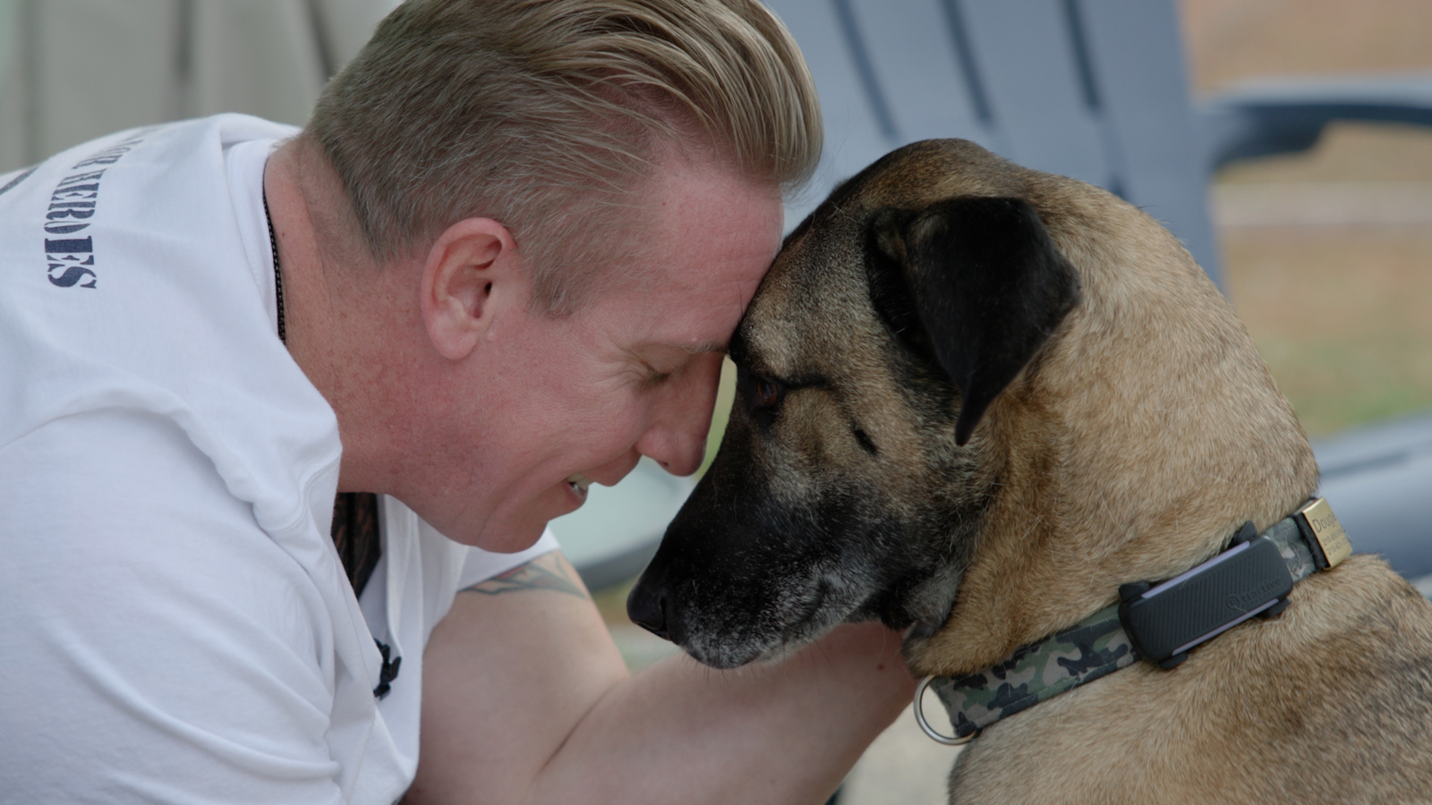 How rescue dogs are helping veterans overcome PTSD