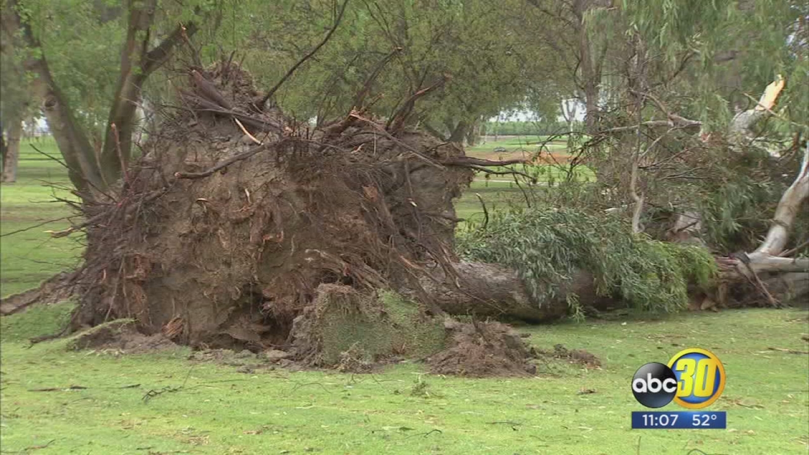 Tulare residents describe golf course as war zone after thunderstorm uproots trees ABC30 Fresno