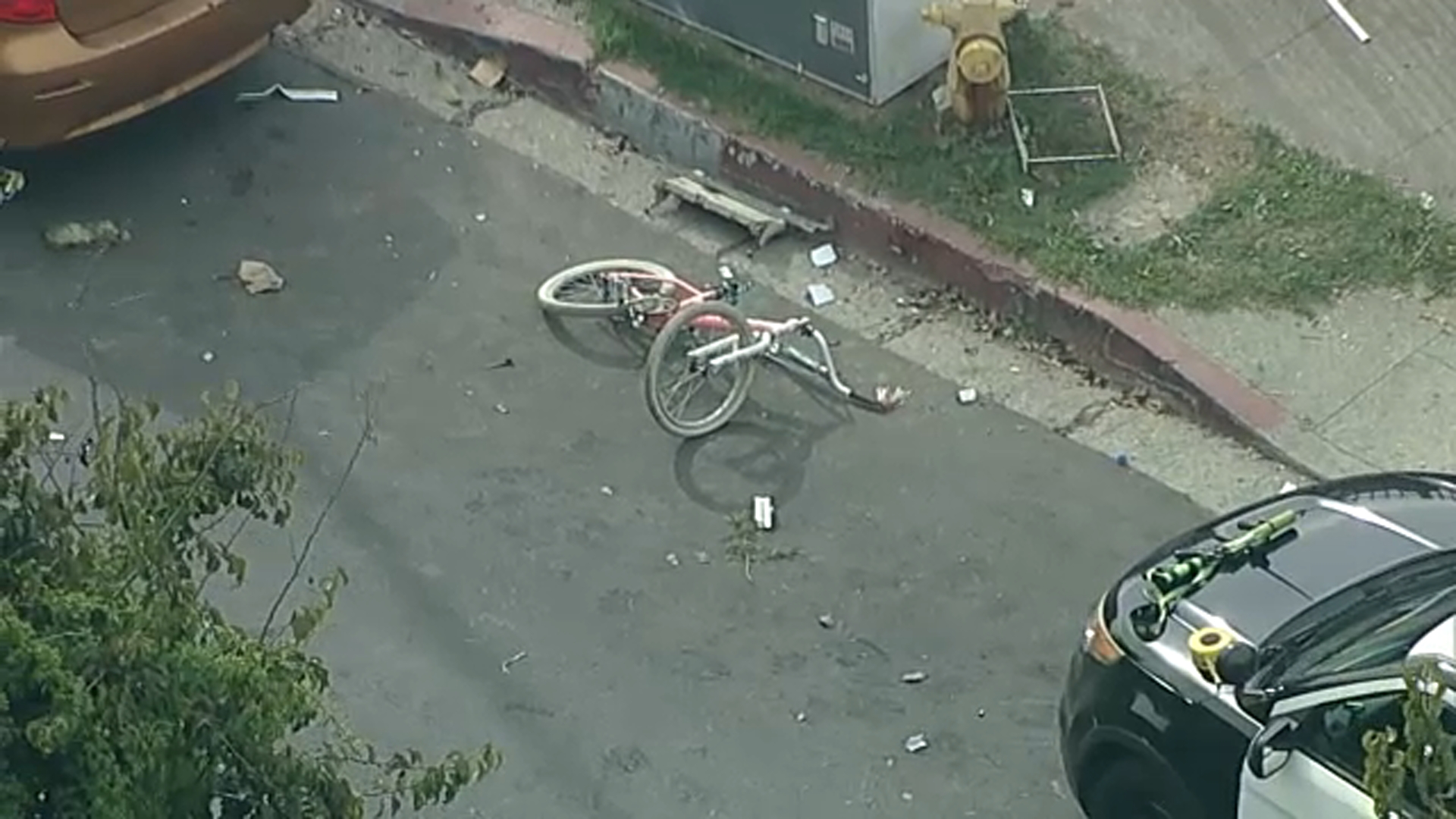 Man accused of swinging chain shot and killed by police, LAPD says