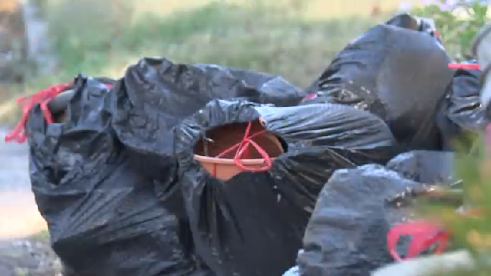A pilot program could improve Houston's much delayed heavy trash pickup