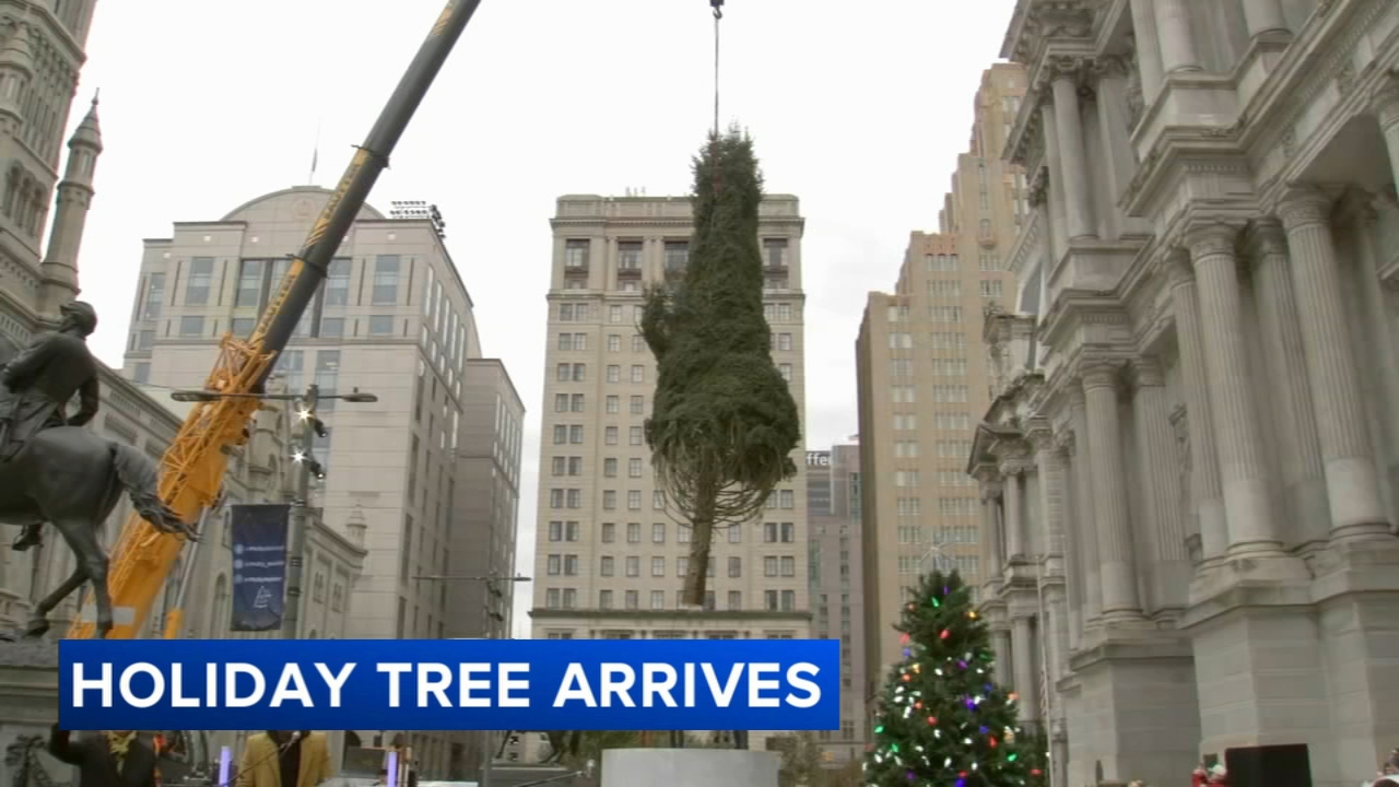 Philly Holiday Tree arrives at City Hall as city prepares for festive season