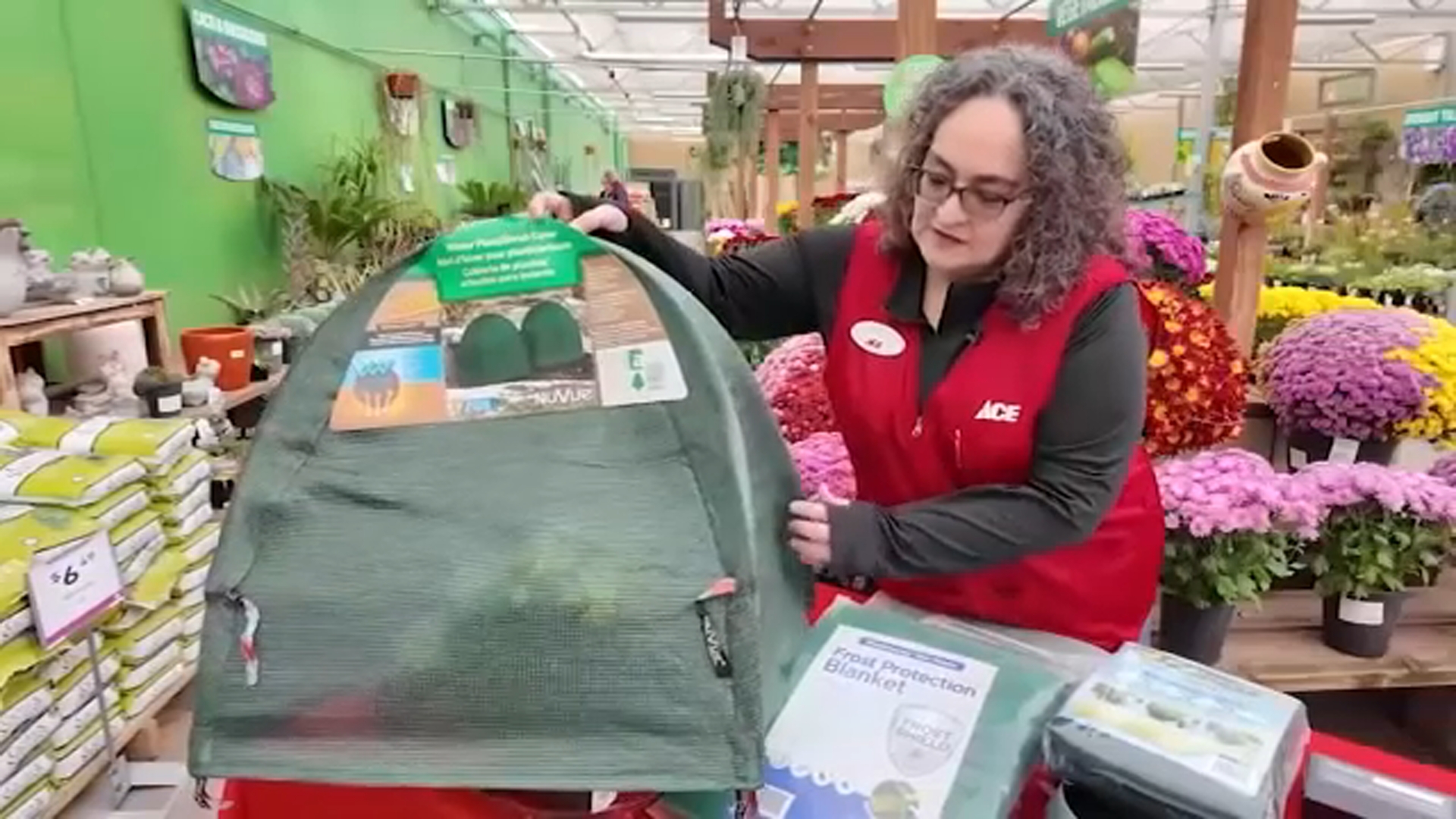 Watching Your Wallet: Preparing your plants for winter