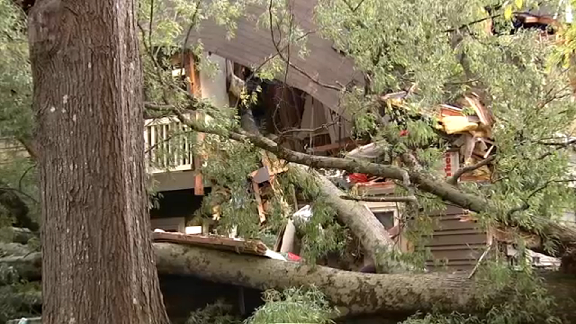 Charlotte woman's headboard stops tree from crushing her