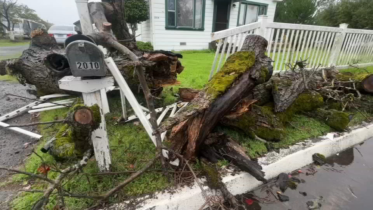 Storm impacts: Roads flooded, trees toppled and flights canceled