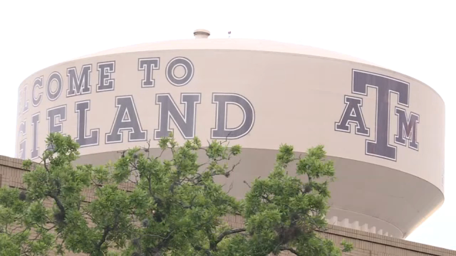 Texas A&M University committee rules professor's firing over gender identity lesson was unjustified