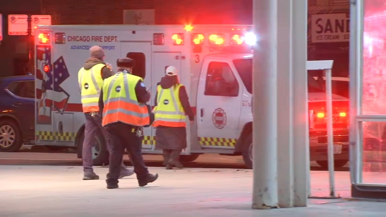 Woman dead after being hit by CTA Blue Line train at stop in Logan ...