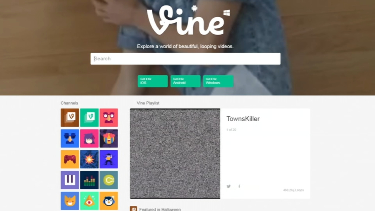 Twitter Co-founder Jack Dorsey funds diVine, a reboot of popular defunct  video-sharing Vine app - ABC7 New York