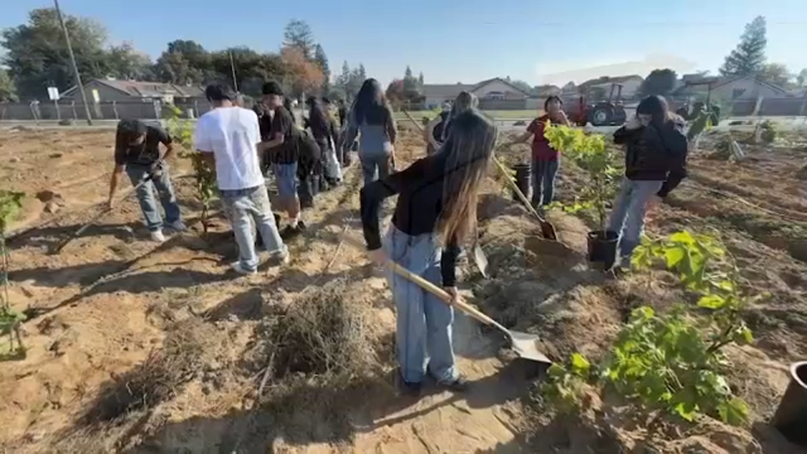 Selma High School students get hands-on experience getting food from farm-to-table