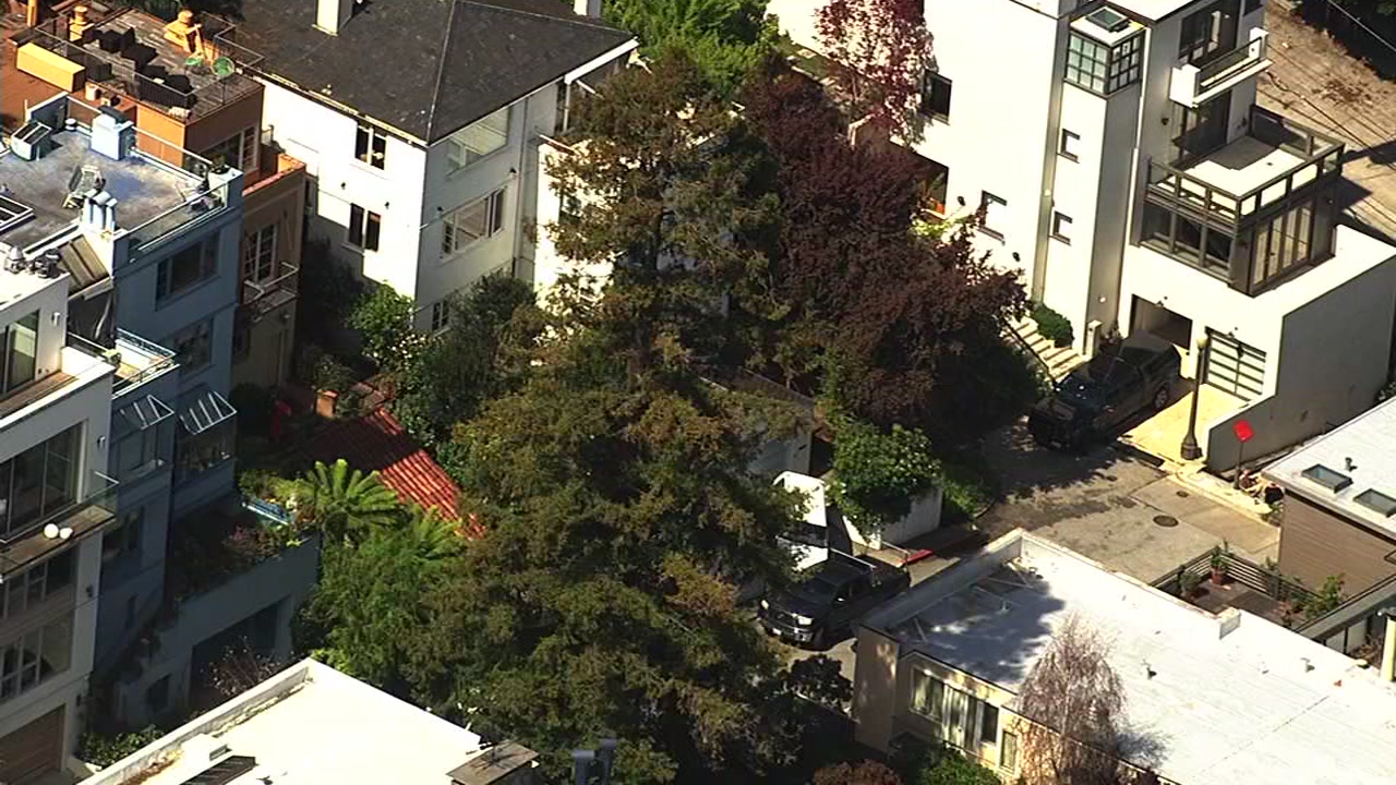 Residents at odds over massive Redwood tree on Lombard Street in SF