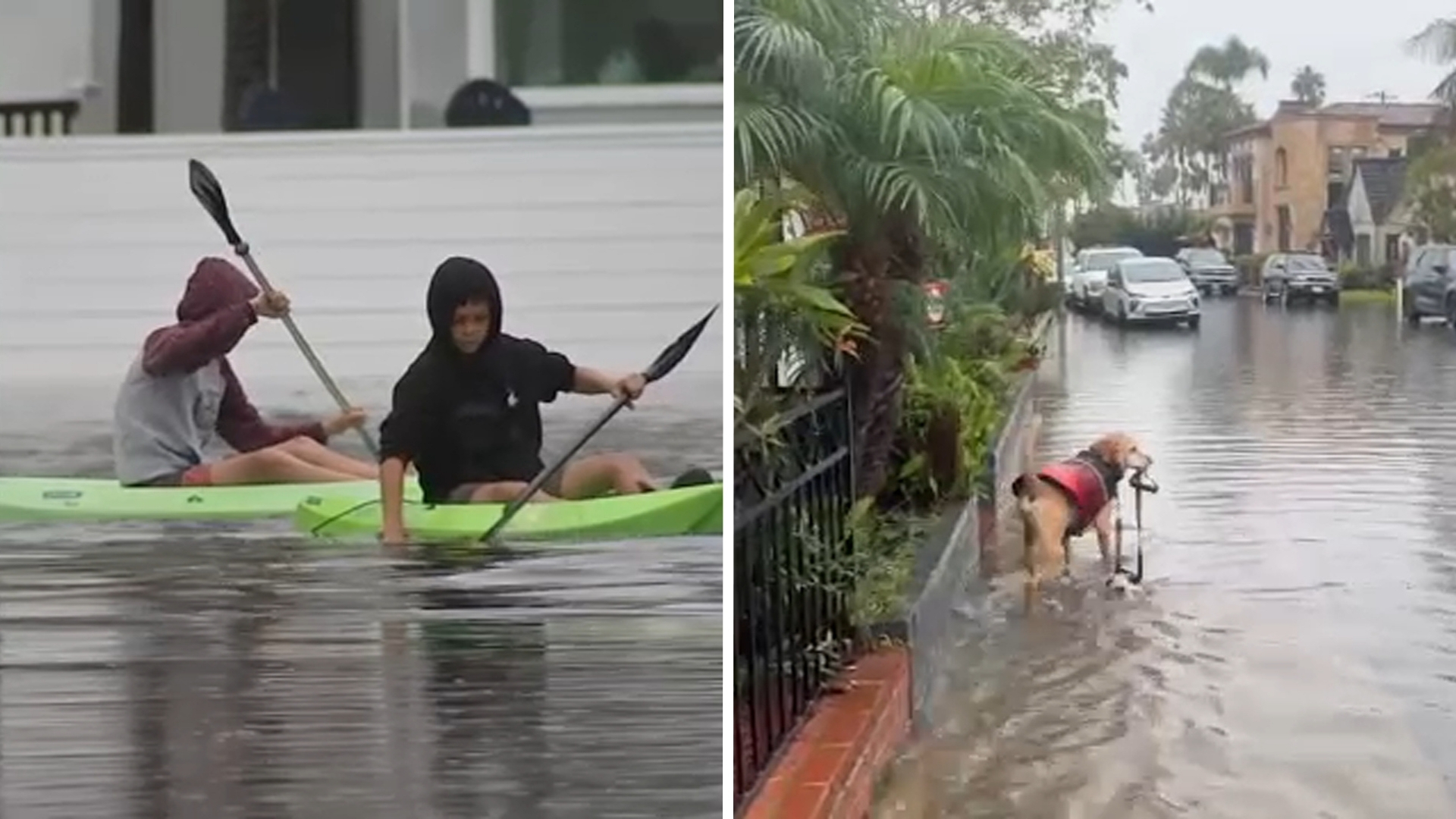 Neighbors kayak through street flooding in Long Beach streets