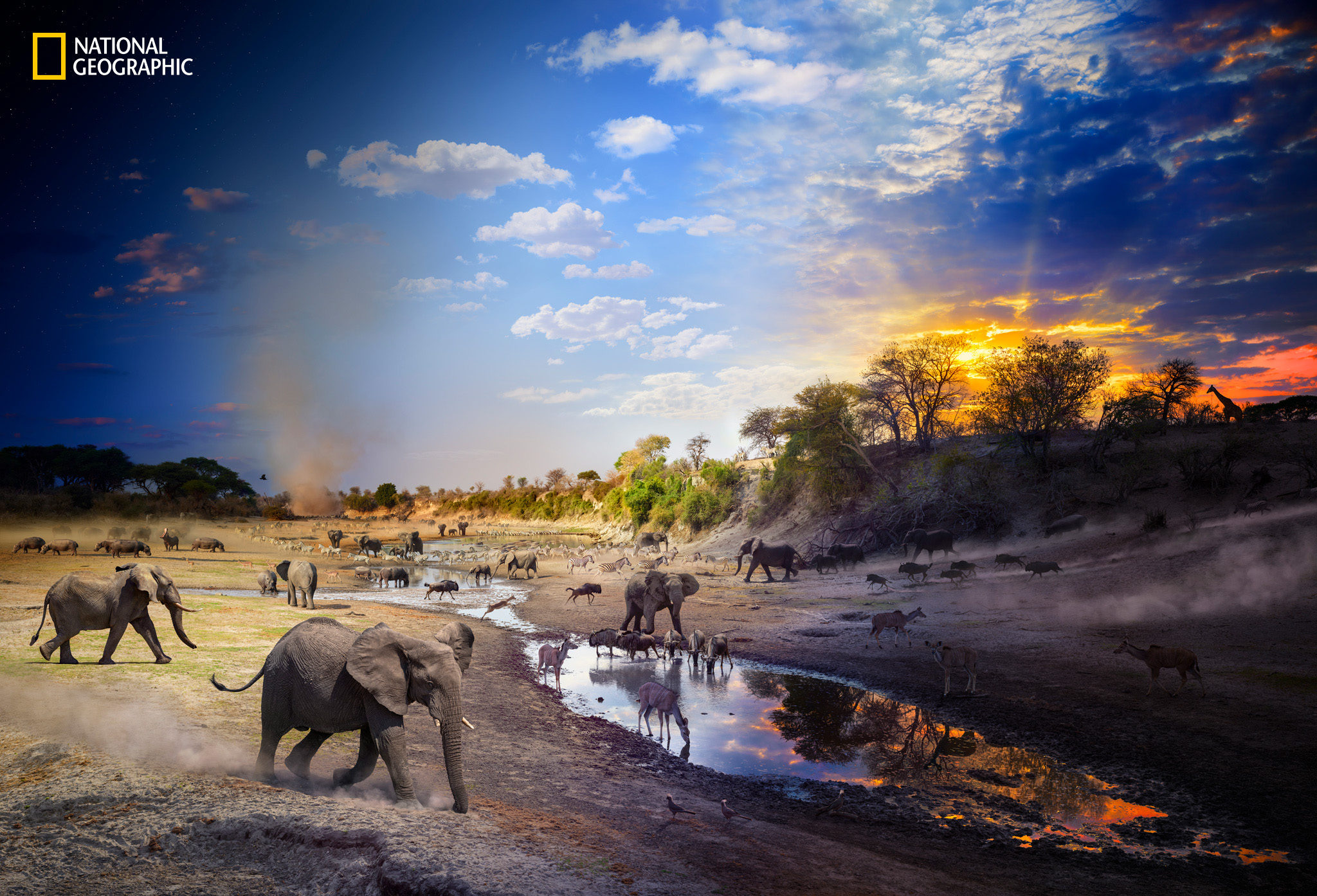 Over the course of an action-packed day, Stephen Wilkes watched the animals head towards a tiny watering hole at the height of a severe drought in Botswana's Okavango Delta.