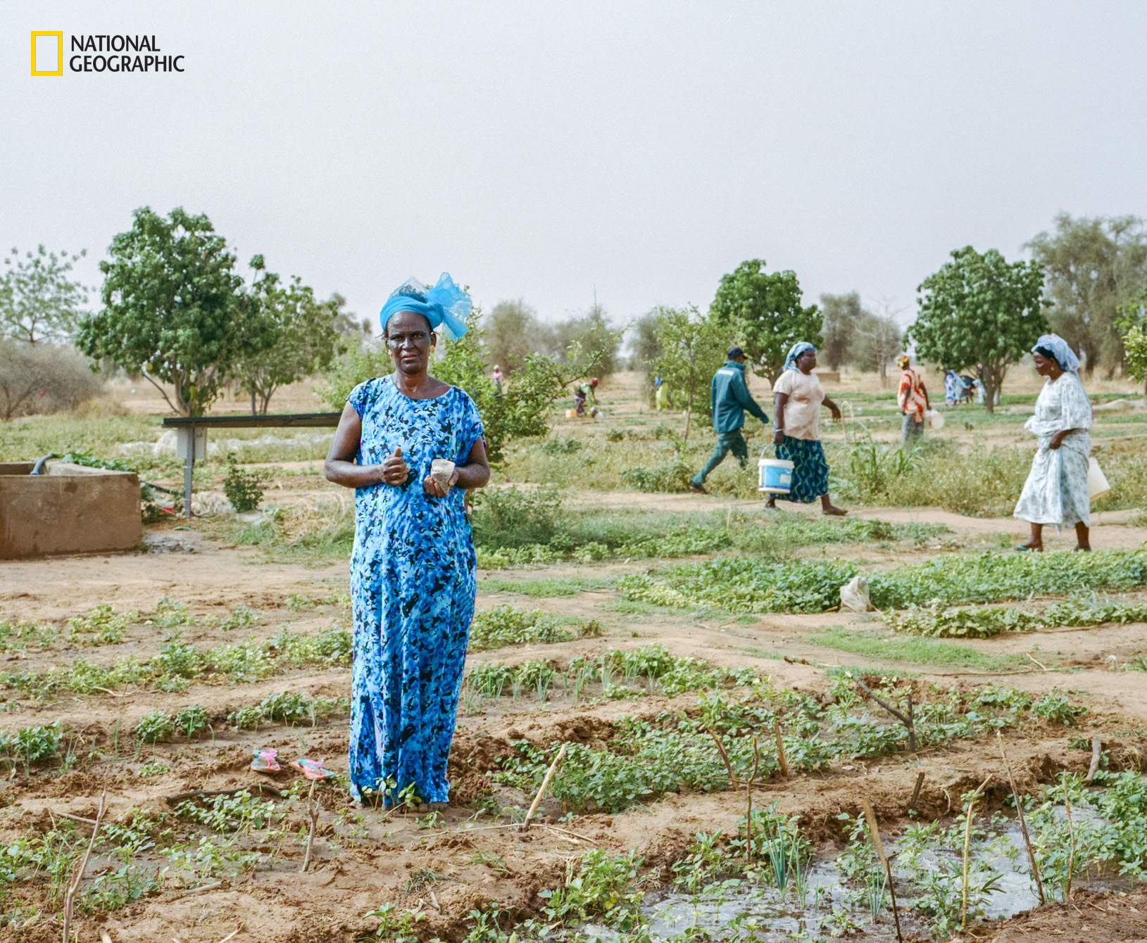 Meriem Samba Ba, shown here in the foreground, stands amid the Great Green Wall project in the arid plains of western Senegal.