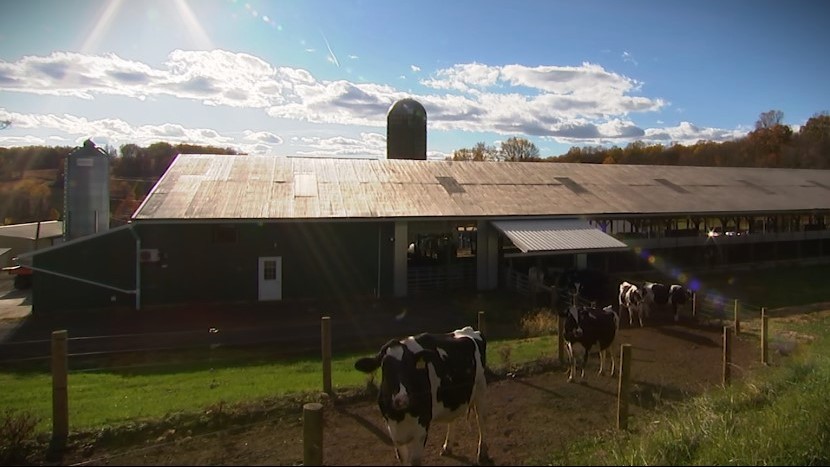 Birchrun Hills Farm makes farm-fresh cheese
