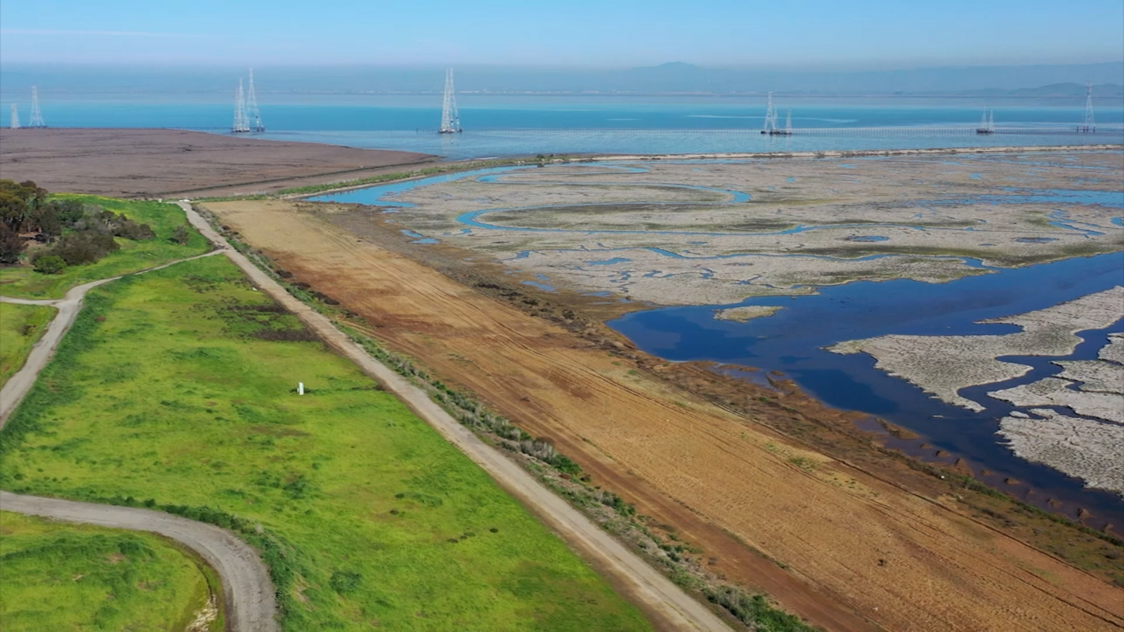 Environmental report card has mixed grade for San Francisco Bay Estuary