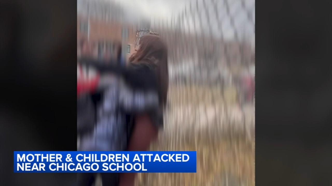Woman, child beaten, seriously hurt near South Side CPS school: VIDEO