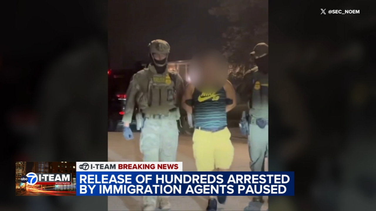 Court temporarily blocks release of hundreds arrested in 'Blitz'