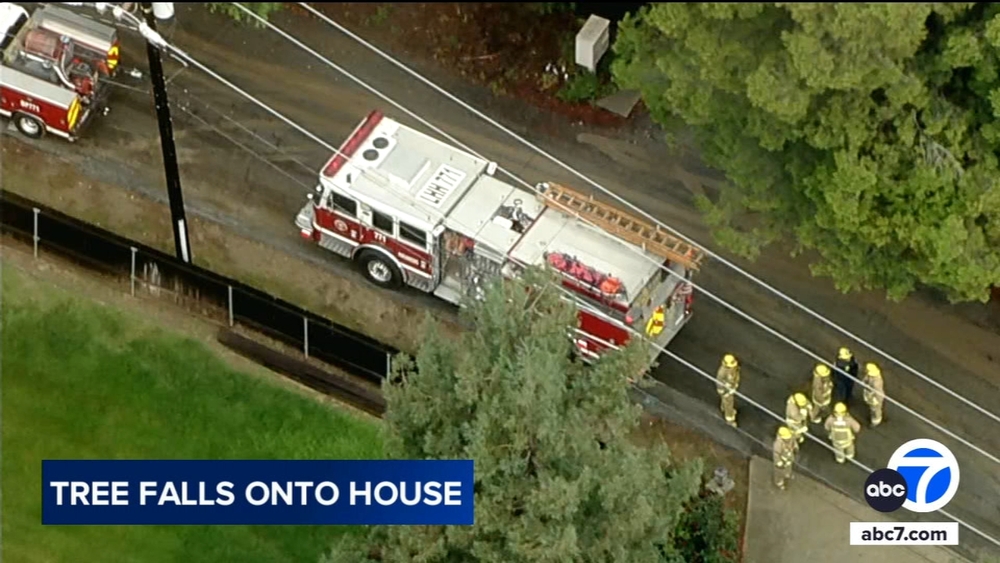 Tree topples onto part of house in La Habra Heights, takes out fence