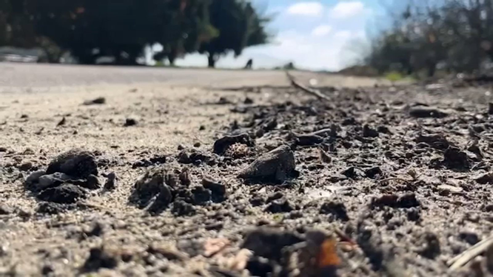 Rain impacts on farming communities across the valley