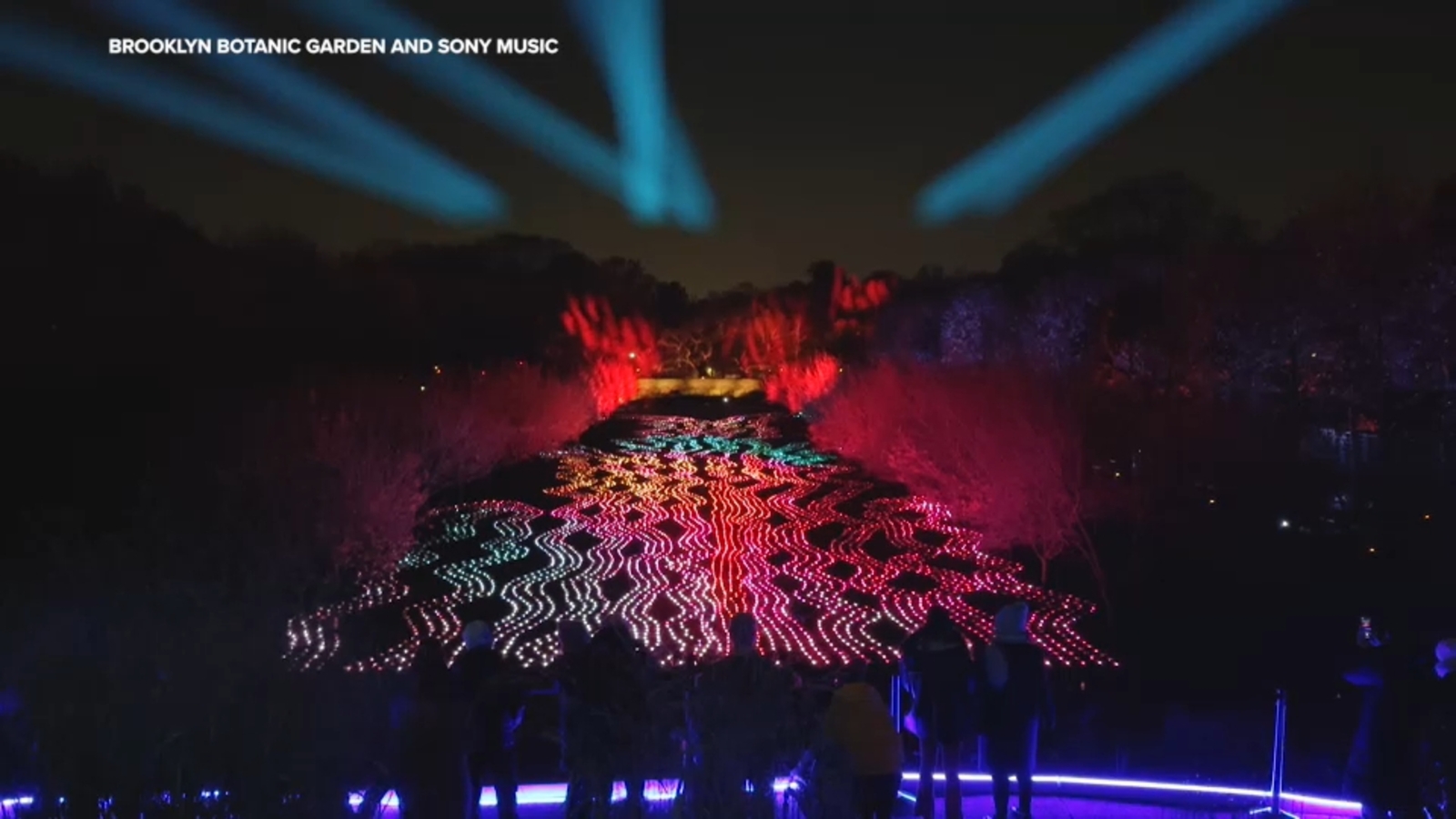 Brooklyn Botanic Garden's annual winter light show, 'Lightscape,' returns for holiday season