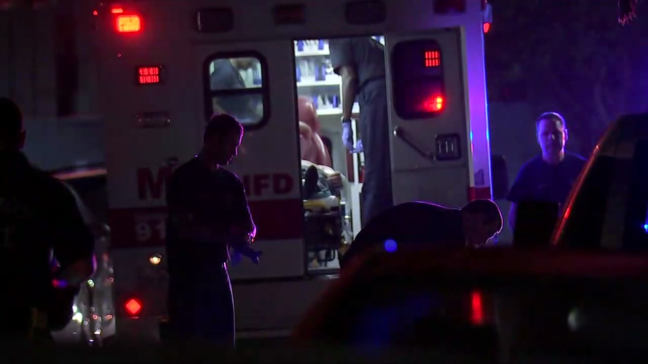 Two men hurt in hit and run in Montrose area.