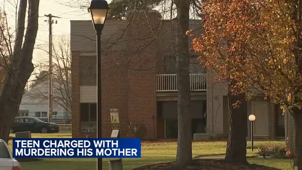Teen charged after allegedly stabbing his mother to death