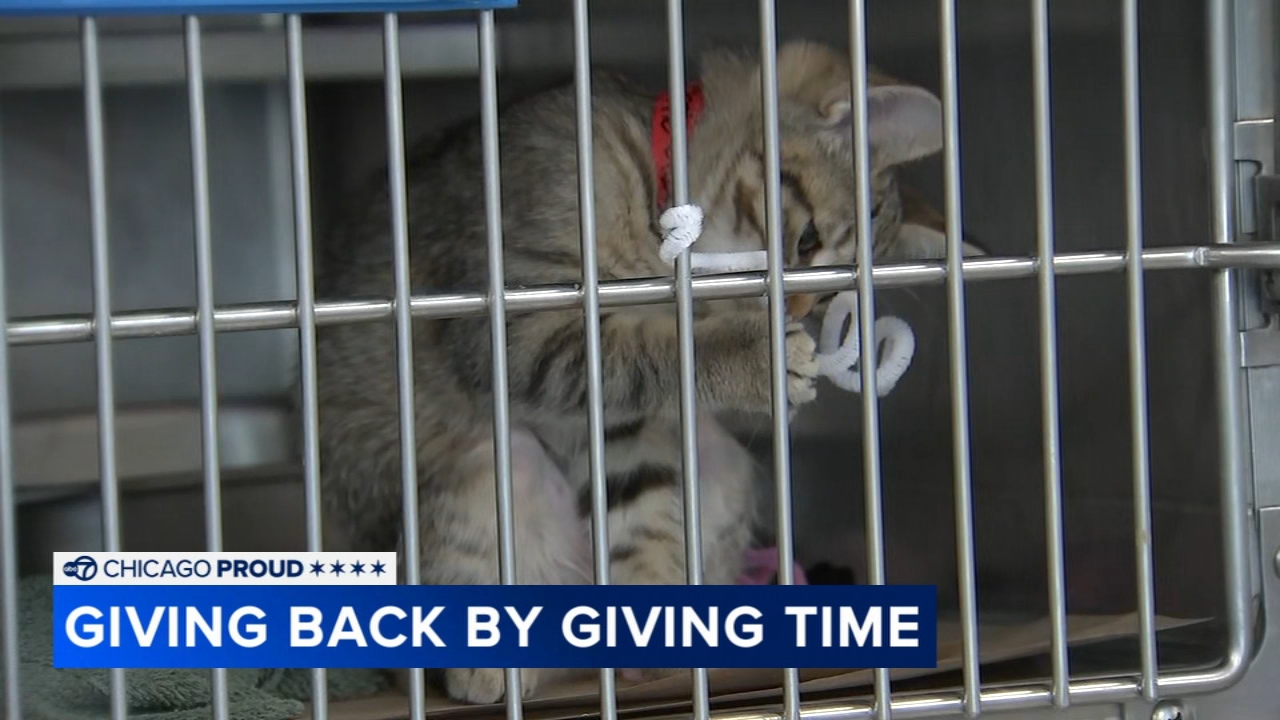 Chicagoans volunteer time during season of giving