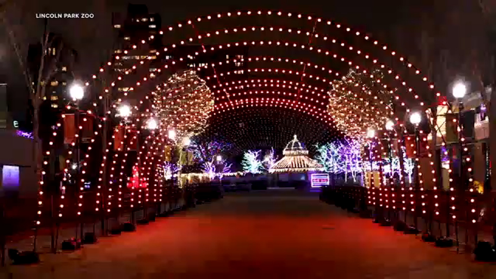 Thieves target cars parked near ZooLights at Lincoln Park Zoo, Chicago police say