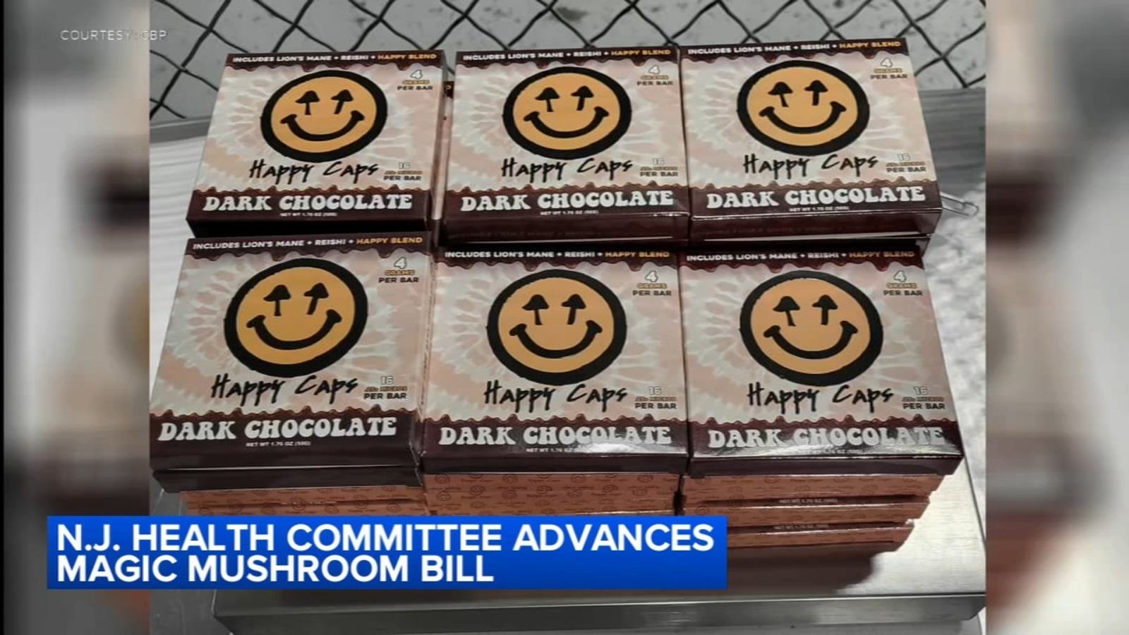 Assembly lawmakers in New Jersey advance bill to legalize 'magic mushrooms'