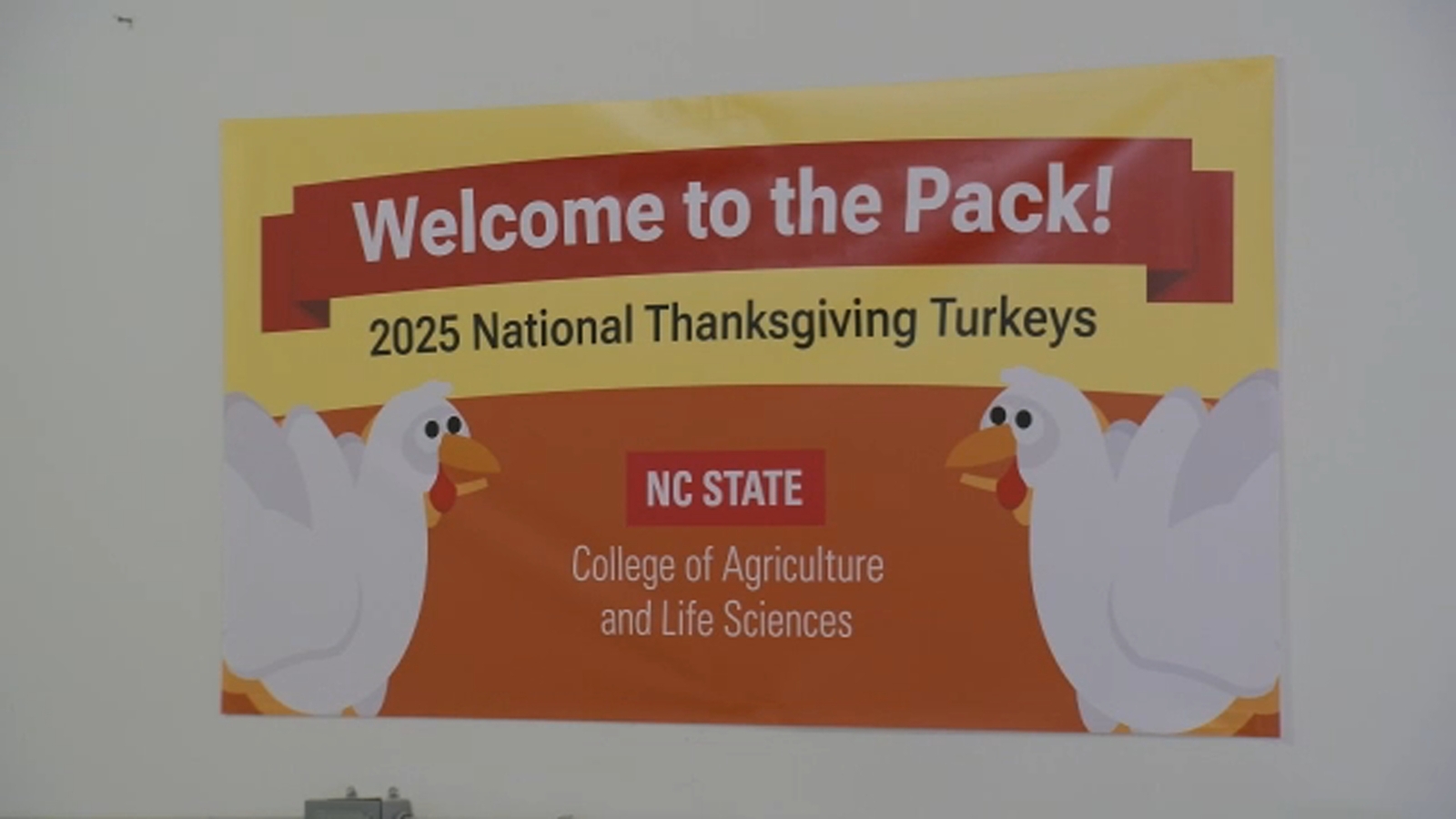 2025 National Thanksgiving Turkeys retire in North Carolina