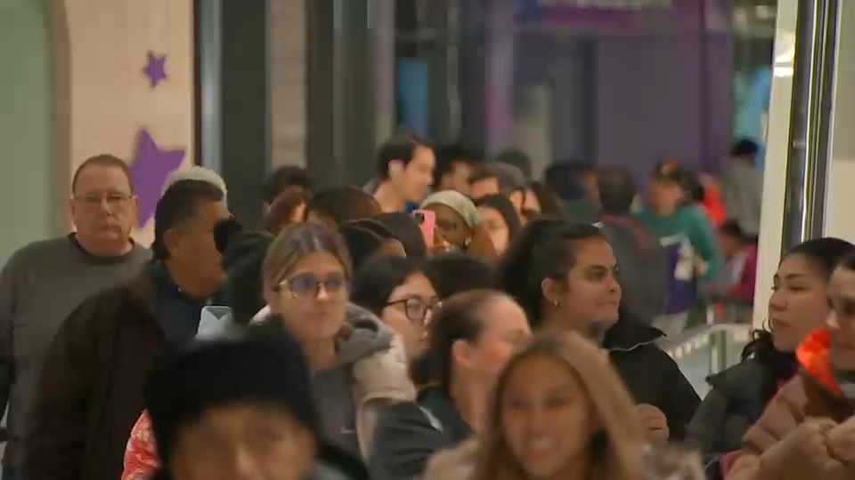 Black Friday shoppers on the hunt for holiday bargains