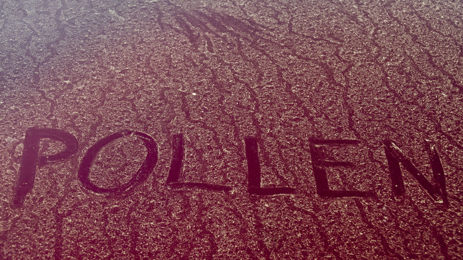 Pollen season is here with a vengeance ABC11 RaleighDurham