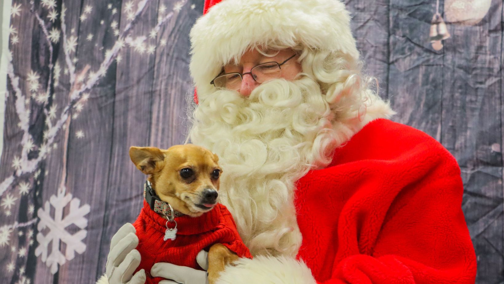 Local pets and their owners take pictures with Santa to benefit