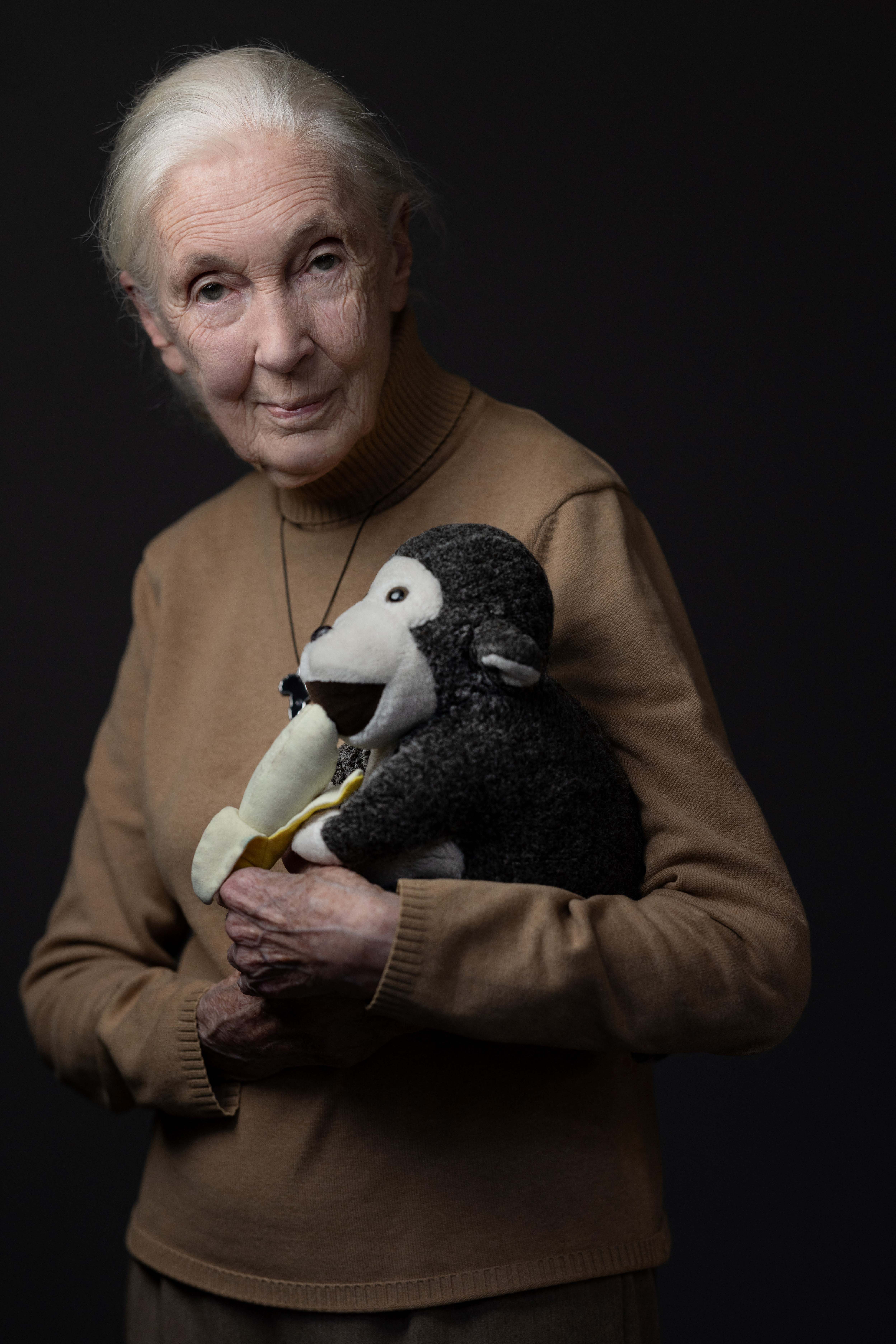 Famed primatologist Jane Goodall, who dedicated her life to scientific research and advocating for environmental protections, died on Oct. 1, 2025 at the age of 91.