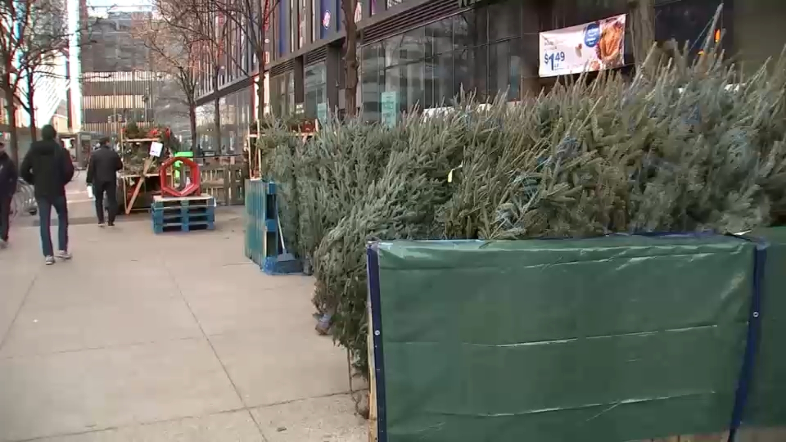 Here's how much real Christmas trees cost around New York City