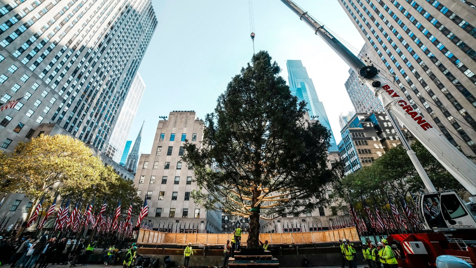 Rockefeller Center Christmas tree to light up holiday season in New York City
