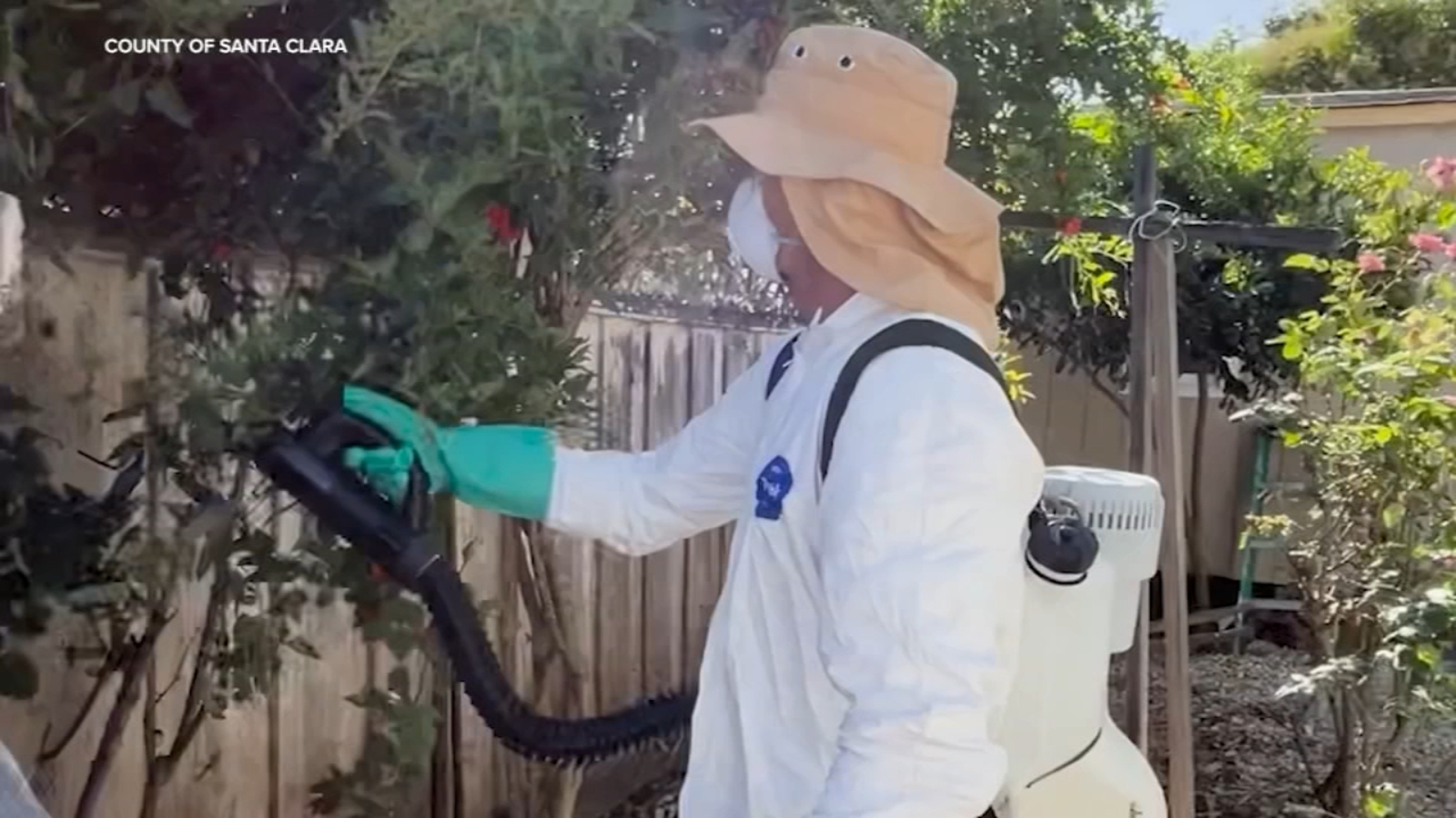 Budget cut concerns for Mosquito and Vector Control District in Santa Clara Co.