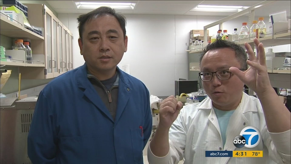 Riverside scientists announce breakthrough in Zika research