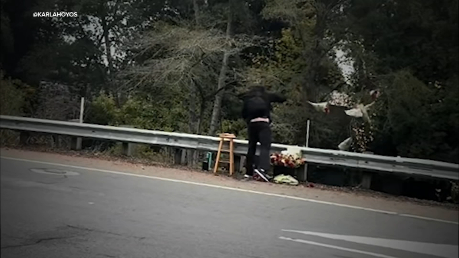 Viral video of man dumping flower vendor's bouquet into North Bay creek sparks debate