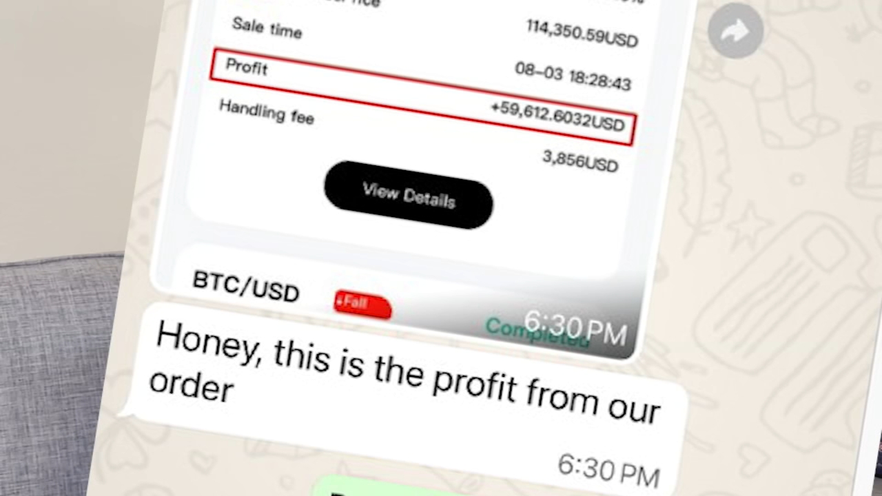 Pig butchering: Bay Area widow loses nearly $1M in crypto scheme, ChatGPT  alerts her to scam - ABC7 San Francisco