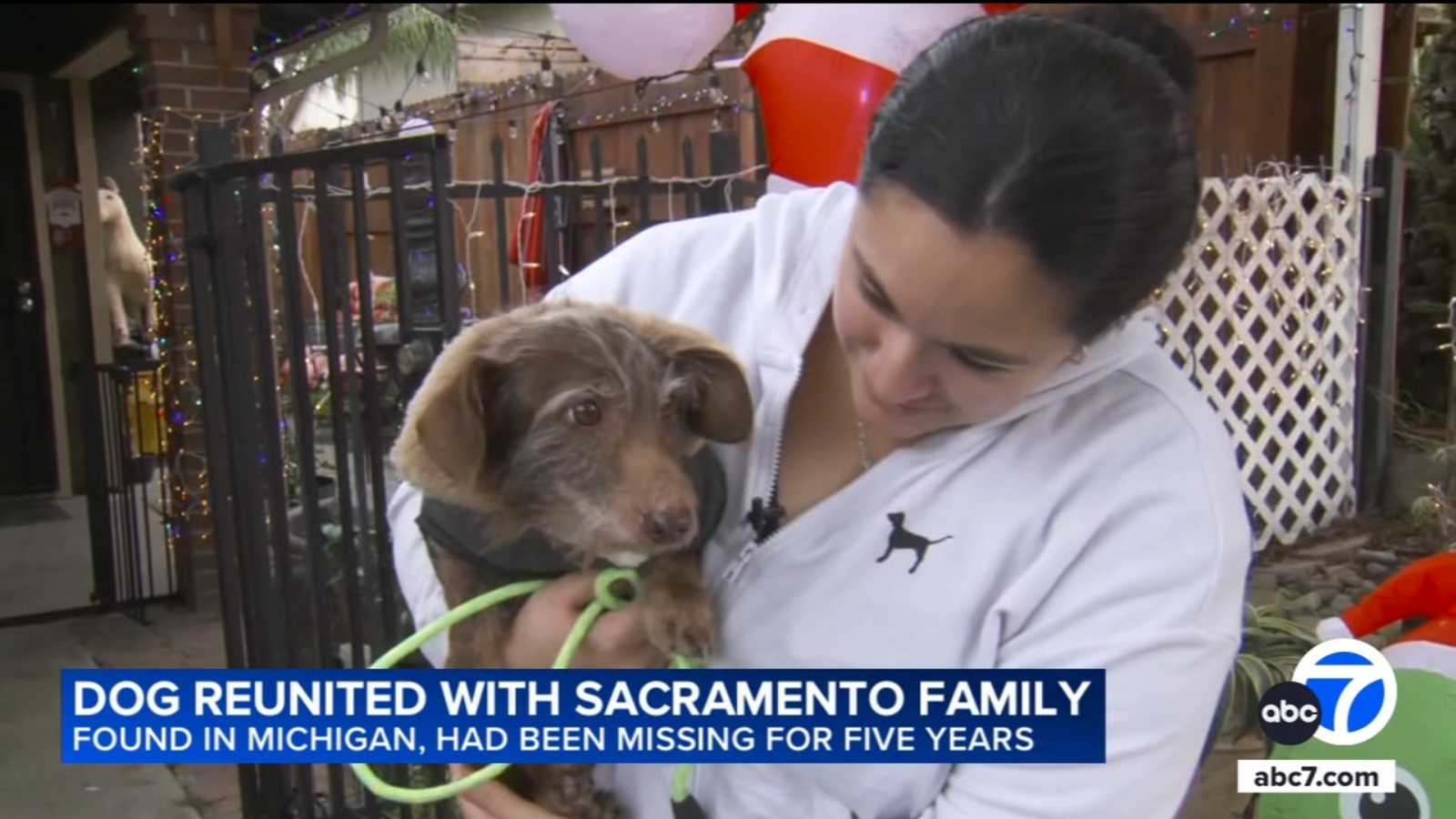 CA dog reunited with family nearly 5 years after he disappeared, found more than 2,000 miles away