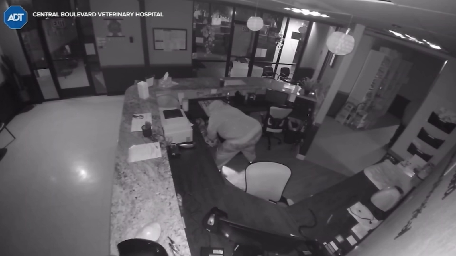 Thieves caught stealing pet ashes from Bay Area veterinary clinic, video shows