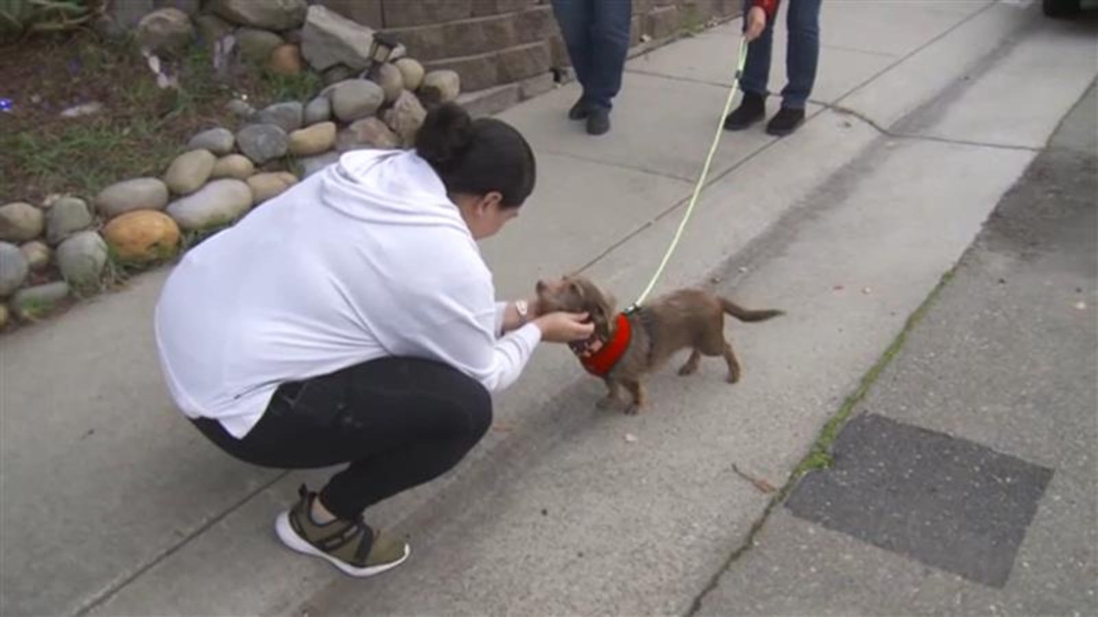 'Choco' the dog reunited with California family nearly 5 years after he(00)