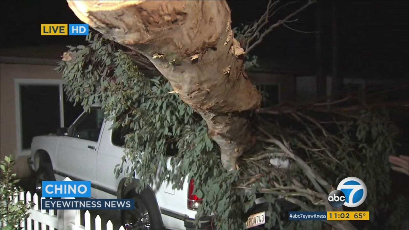 SoCal winds topple trees, create tumbleweed traffic jam - ABC7 Los Angeles