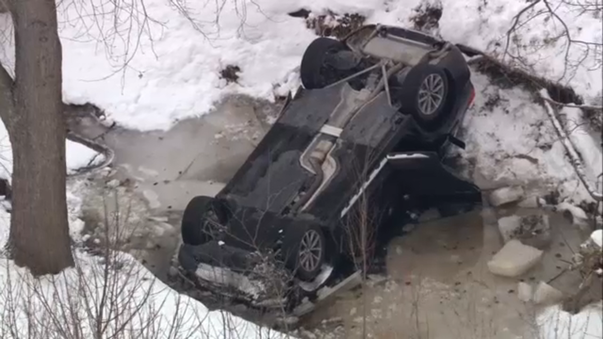 A driver was rescued after crashing into an icy creek on Thursday, Pingree Grove and Countryside Fire Protection District said.