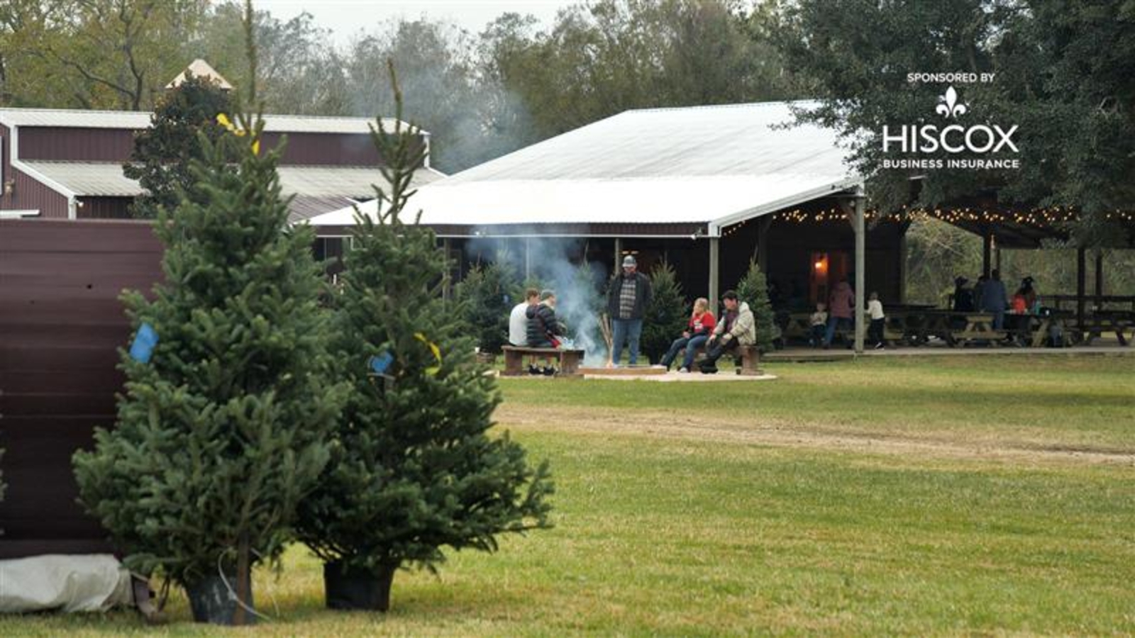 Traditions taking root at Holiday Acres Christmas Tree Farm
