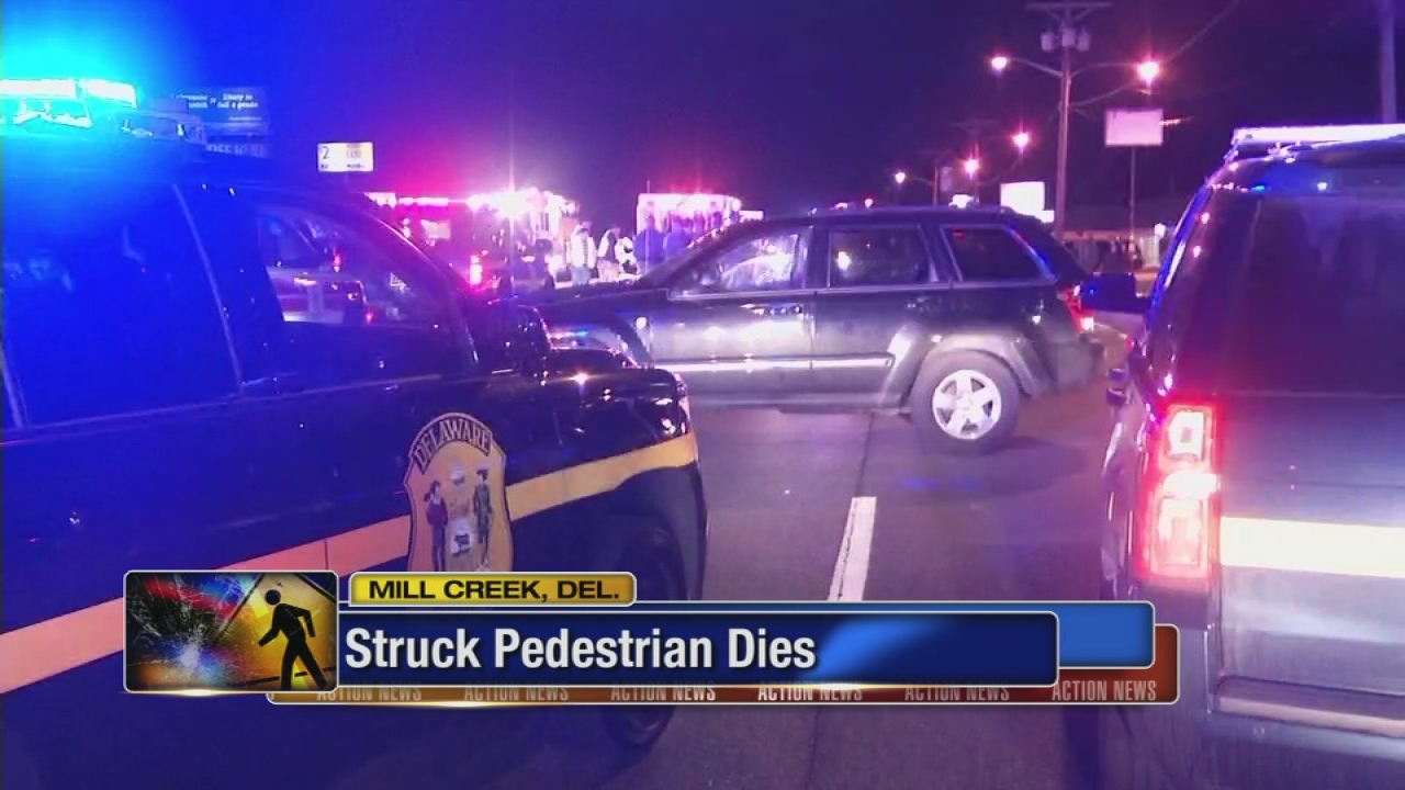 Police ID man killed in hit-and-run in Mill Creek, Del.