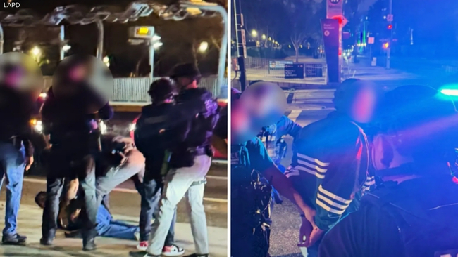 Rob Reiner, Michele Singer murders latest: Son Nick Reiner charged with 2  counts of 1st-degree murder with special circumstances - ABC7 New York