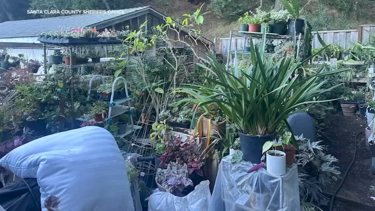 Deputies find $11K worth of stolen plants at San Jose home