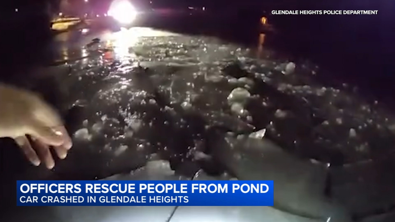 Glendale Heights Police Rescue: Dramatic Video Shows Officers Jump Into  Frozen Pond In Chicago Suburb To Save Crash Victims - Abc7 Chicago